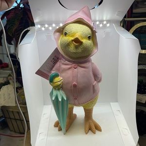 Chicken with rain coat and umbrella !